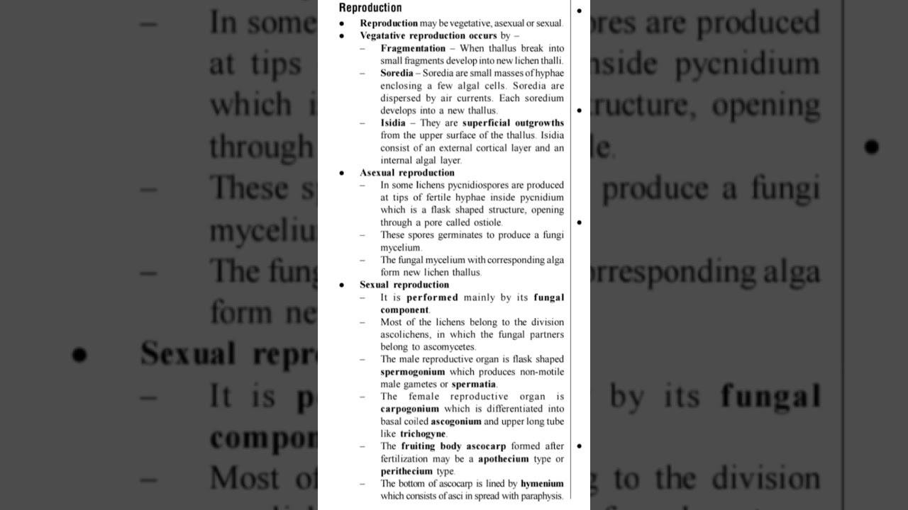 #reproduction of lichens #neet #biology