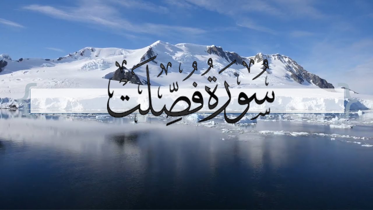 { سورة فصلت } | ماجد العنزي .