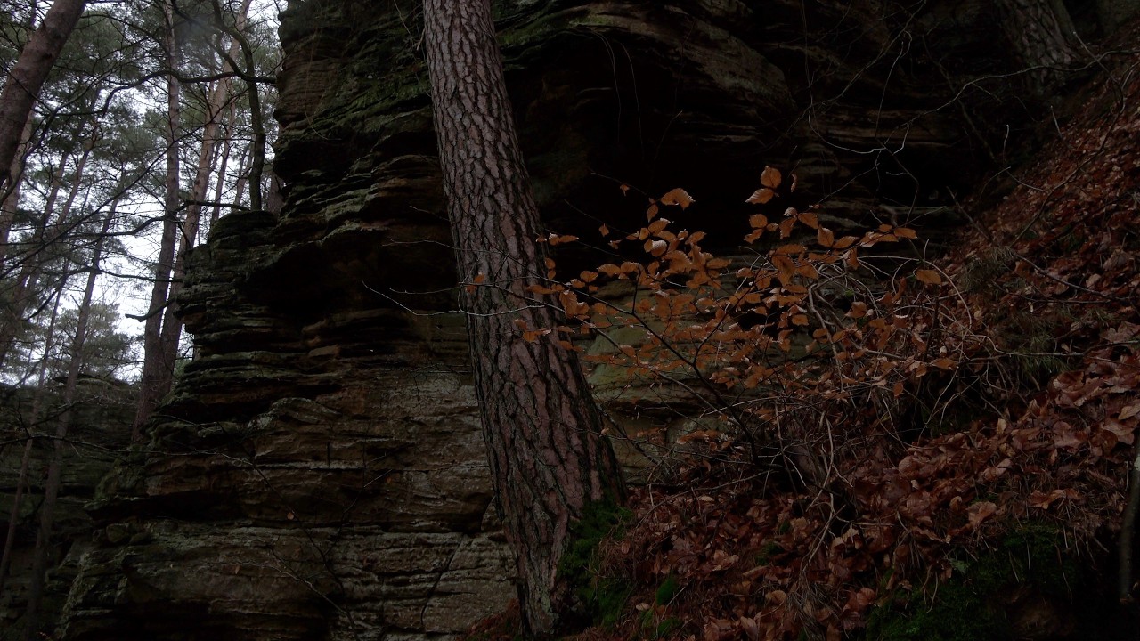 Mullerthal 130226