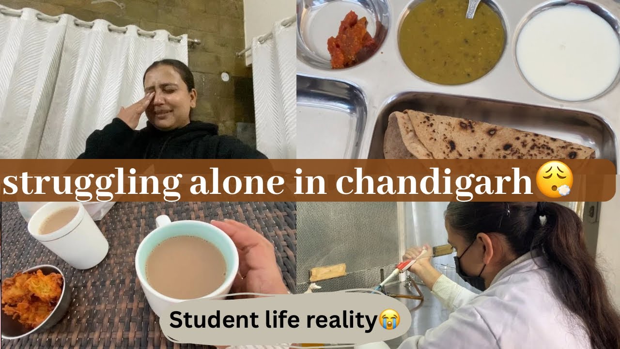 Struggling day in my life 😮‍💨as a student vlogger in CHANDIGARH (MOHALI)❤️