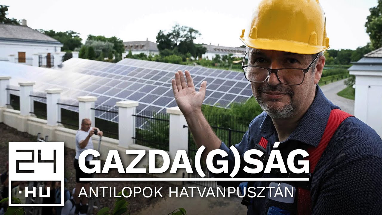 „Ez nem egy gazdaság, hanem gazdagság” – kukkolás és szafari az Orbán-Mészáros szomszédságban