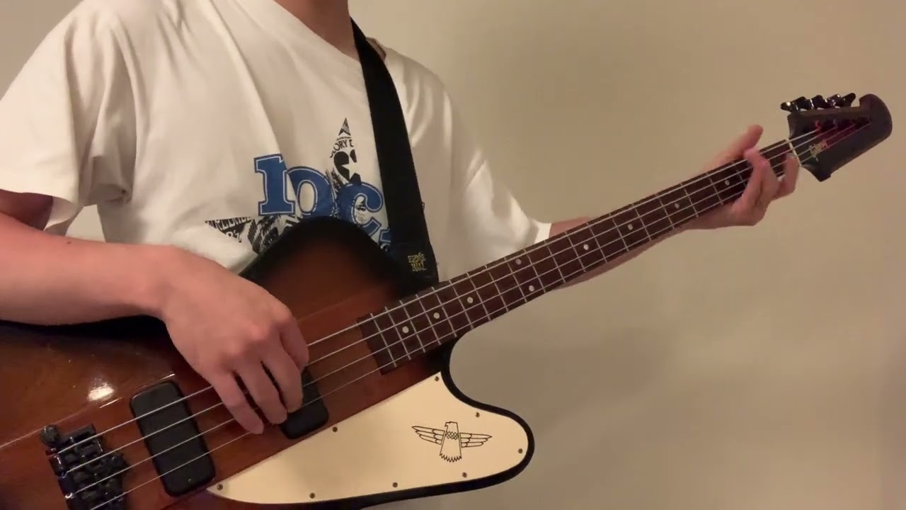 GODIEGO - Monkey Magic (Bass Cover)