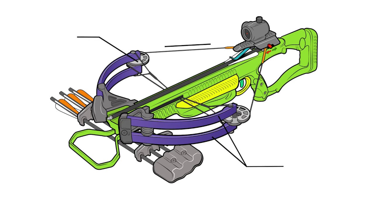 Crossbow 101 - Modern Hunting Crossbows