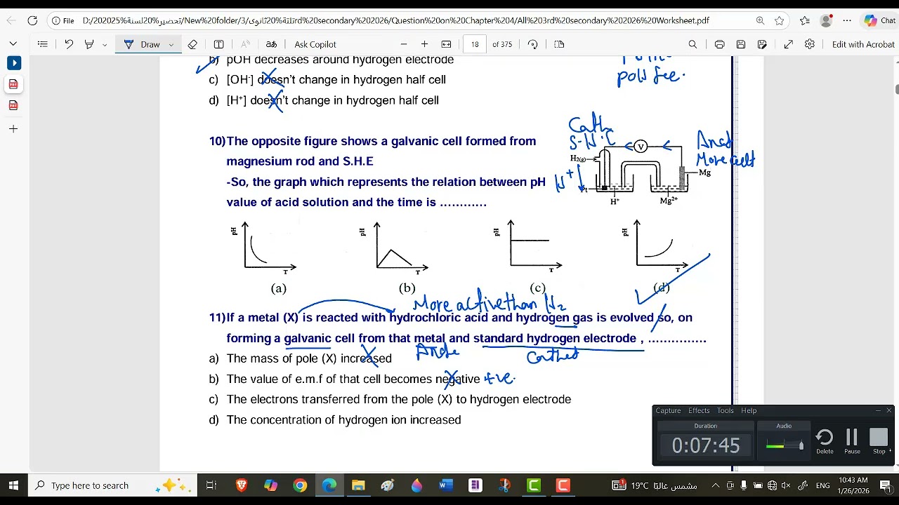 Worksheet 17 (Chapter 4) 3rd secondary