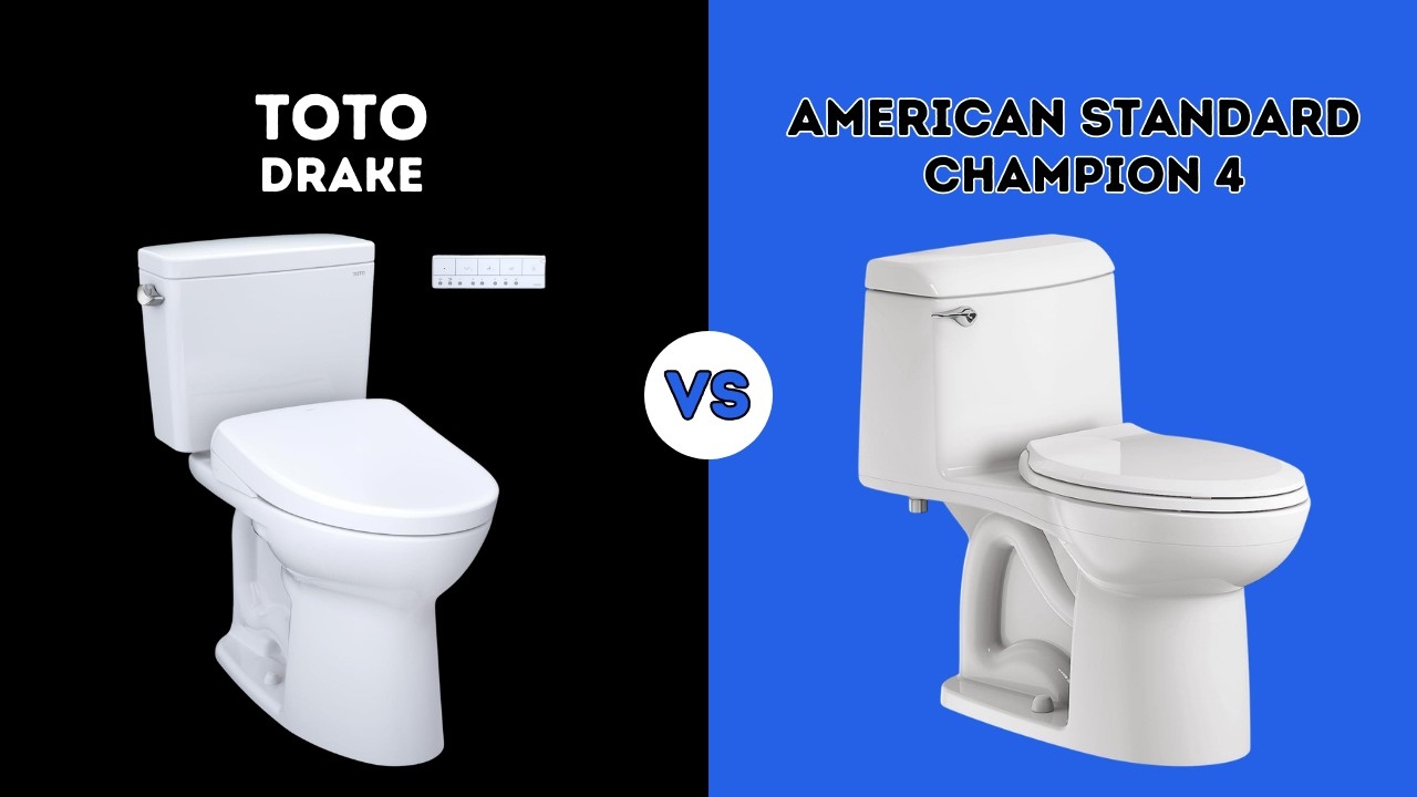 ⭐ TOTO DRAKE VS AMERICAN STANDARD CHAMPION 4 ⭐ | COMPARISON