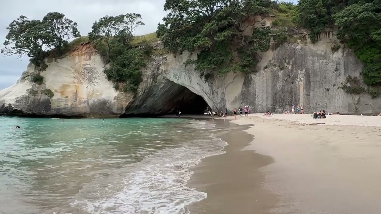 Cathedral Cove - 10th Feb 2026