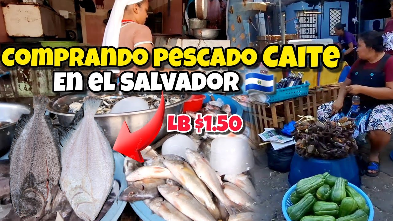 🐟🤗comprando 