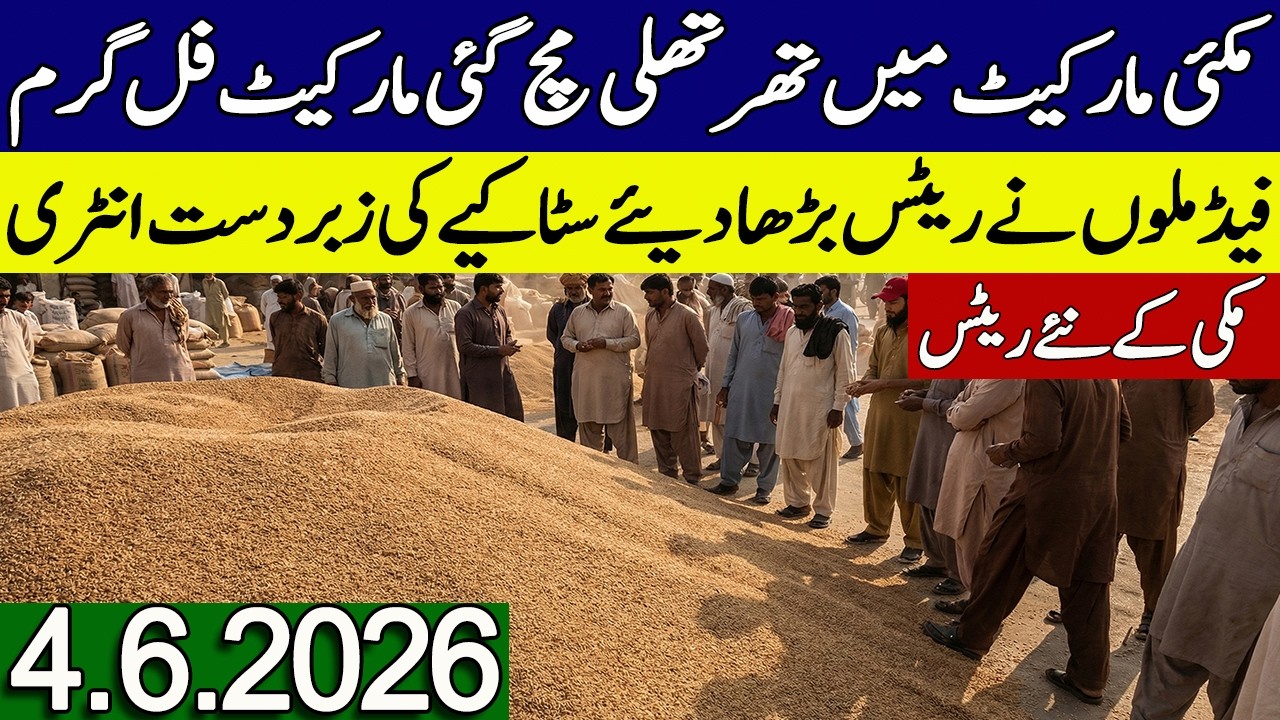 Makki Rates Today 2026 || Maize Rates Today || Makki Ka Rate Today