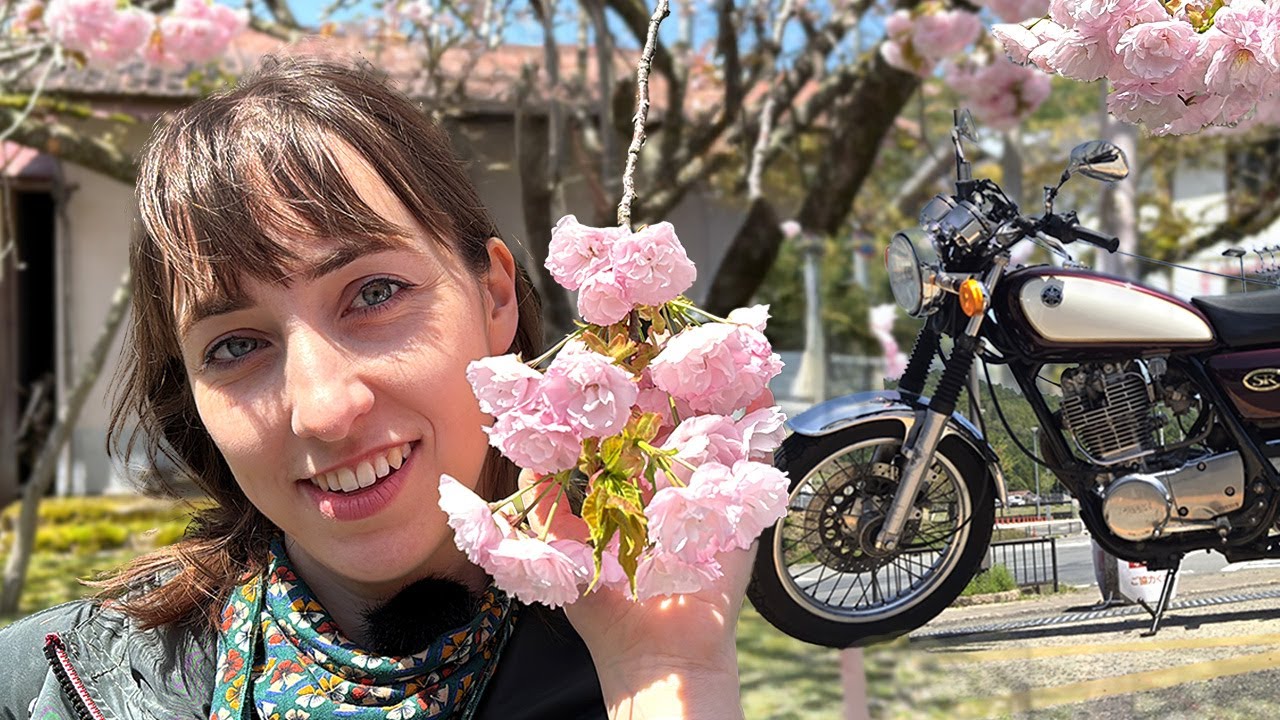 【国際結婚】ポーランド人妻と桜ツーリング🏍【SR400】