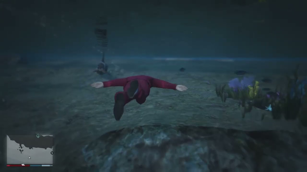 Arr look at the killer whales so many of them