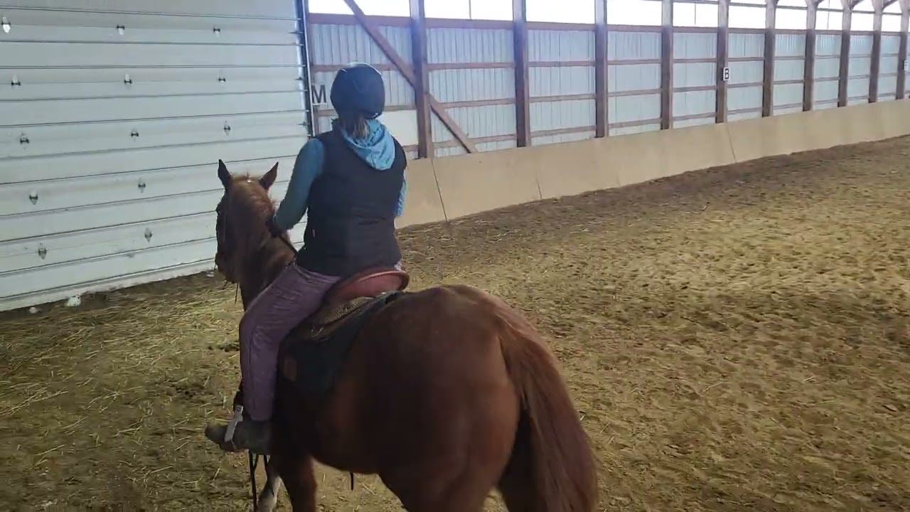 SB Virtual Horse Show Western - February 2026 - Basic Test 3