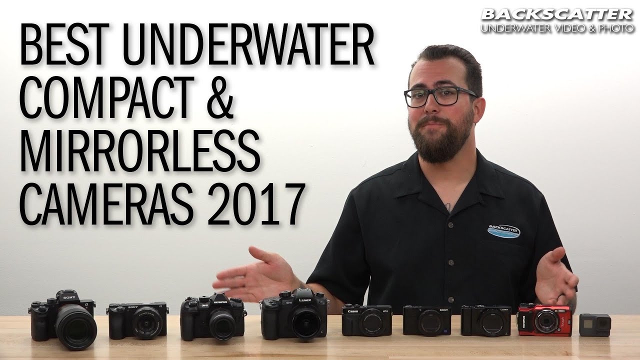The Best Underwater Compact and Mirrorless Cameras of 2017