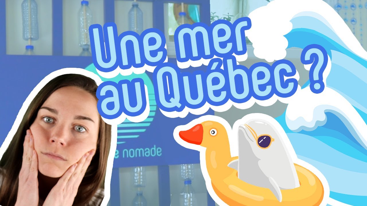 Pourquoi y a-t-il des bélugas dans le Fleuve ?