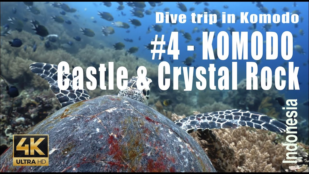 Komodo #4 : Dive on « Castle Rock & Crystal Rock » Komodo archipelago - 4k - Showreel
