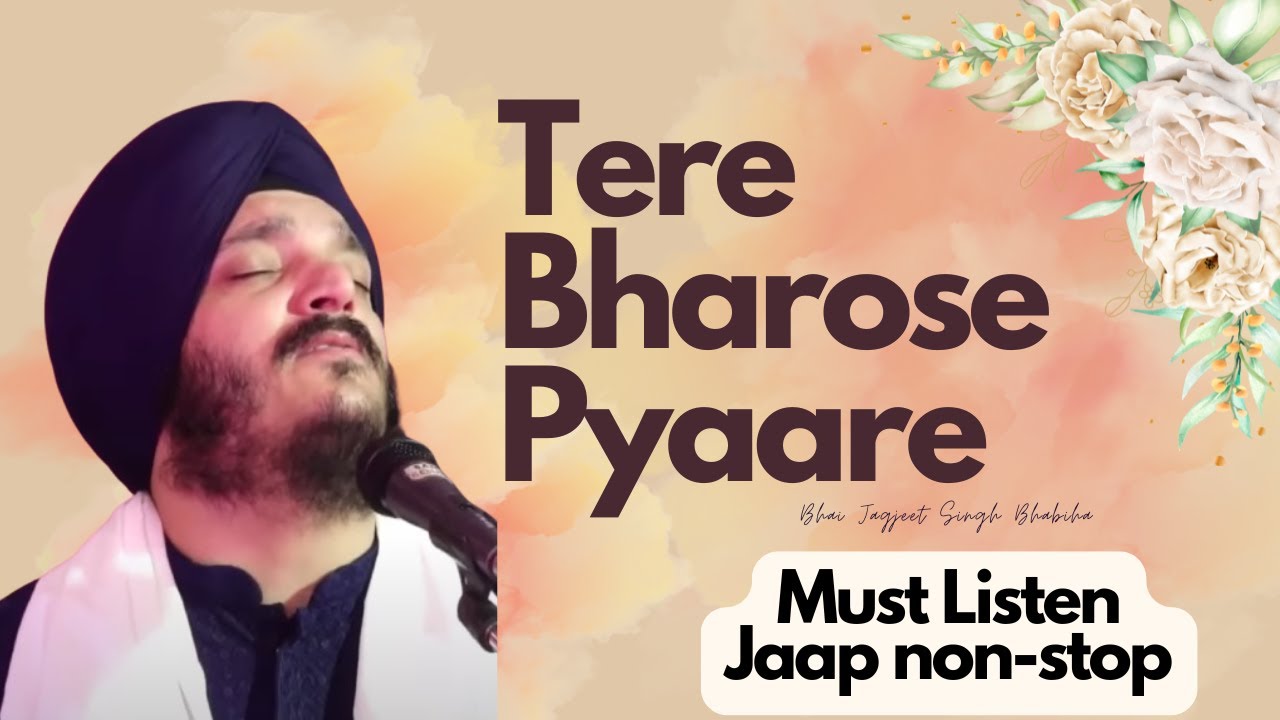 Tere Bharose Pyaare jaap loop by bhai Jagjeet Singh babiha 🙏🏻
