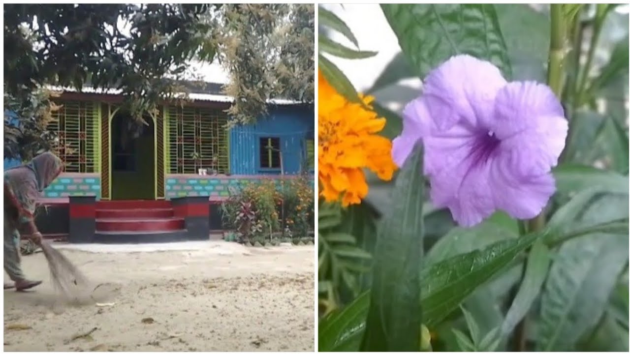 আমের ফুল ঝরে ভরে গেছে সারা উঠান।@faridakitchenwithvlog#foryou..