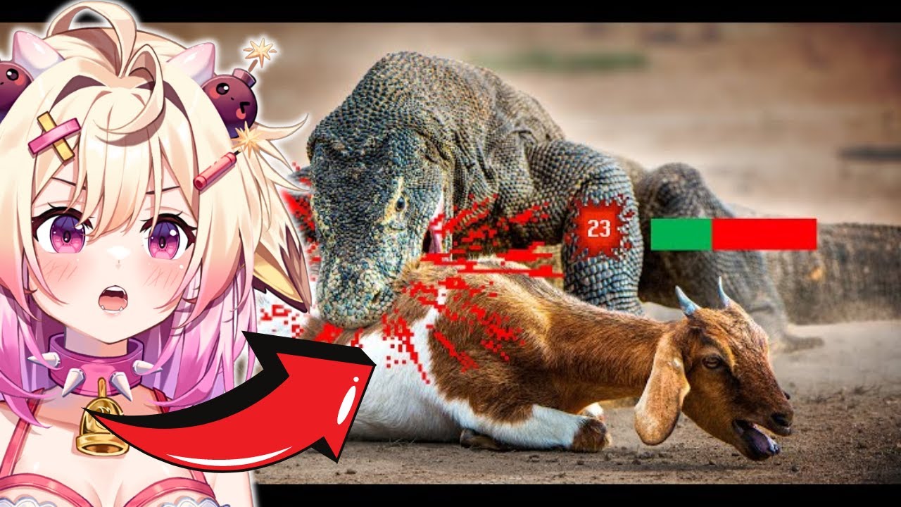 The Lizard Tier List | rosiebellmoo reacts to TierZoo