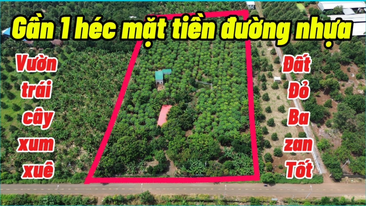 Nhà đất đồng nai, BÁN NHÀ VƯỜN 9.890m² – MẶT TIỀN 77m – XÃ GIA KIỆM  - THỐNG NHẤT – ĐỒNG NAI