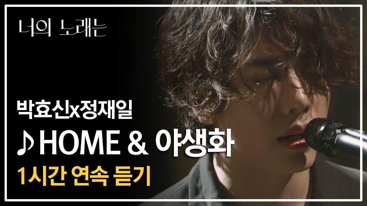 [1시간 연속 듣기] 박효신(Park Hyo shin)x정재일(Jung Jae il) '2019 HOME & 야생화'♪ - 너의 노래는(Your Song)