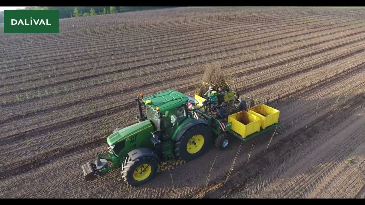 Plantation vergers 2024