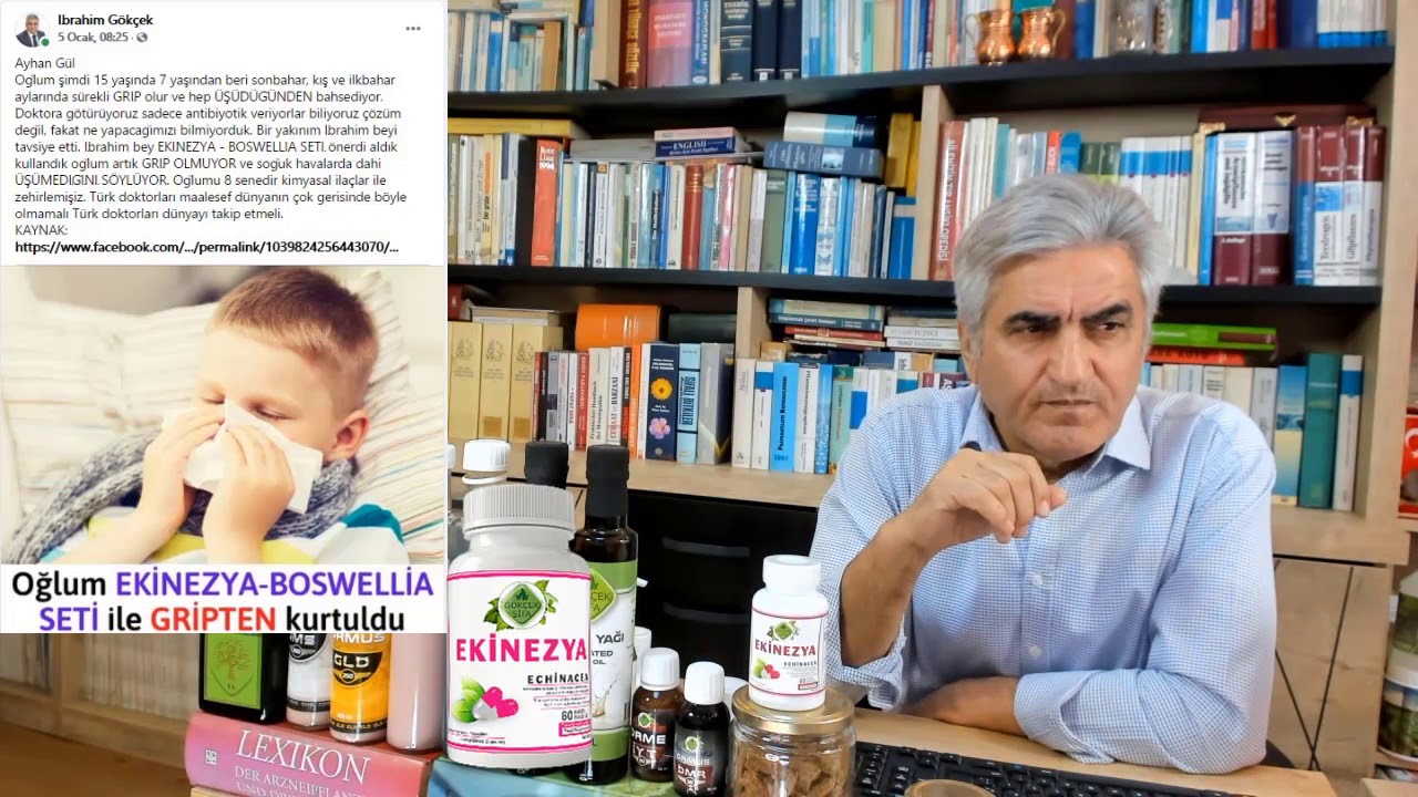 Ekinezya Nedir? Faydaları Nelerdir?