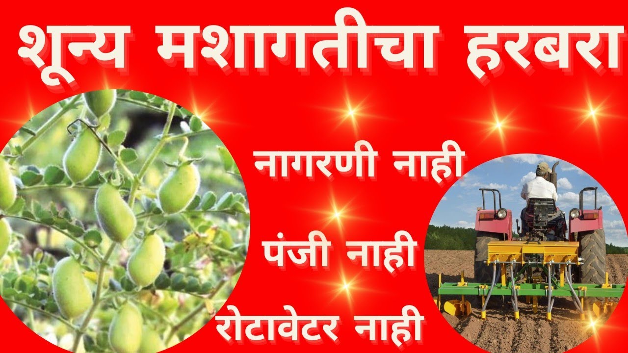 शुन्य मशागत हरबरा ll Shunya mashagat harabara Lagwad
