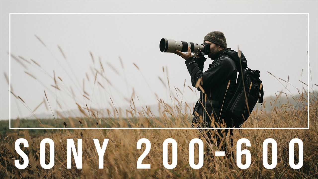 Sony 200-600 G - unsere Tipps, Erfahrungen & Meinung