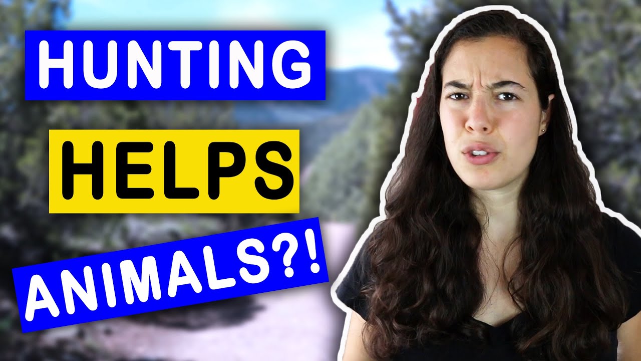 Is Hunting Ethical for Animal Lovers? (THE TRUTH!!)