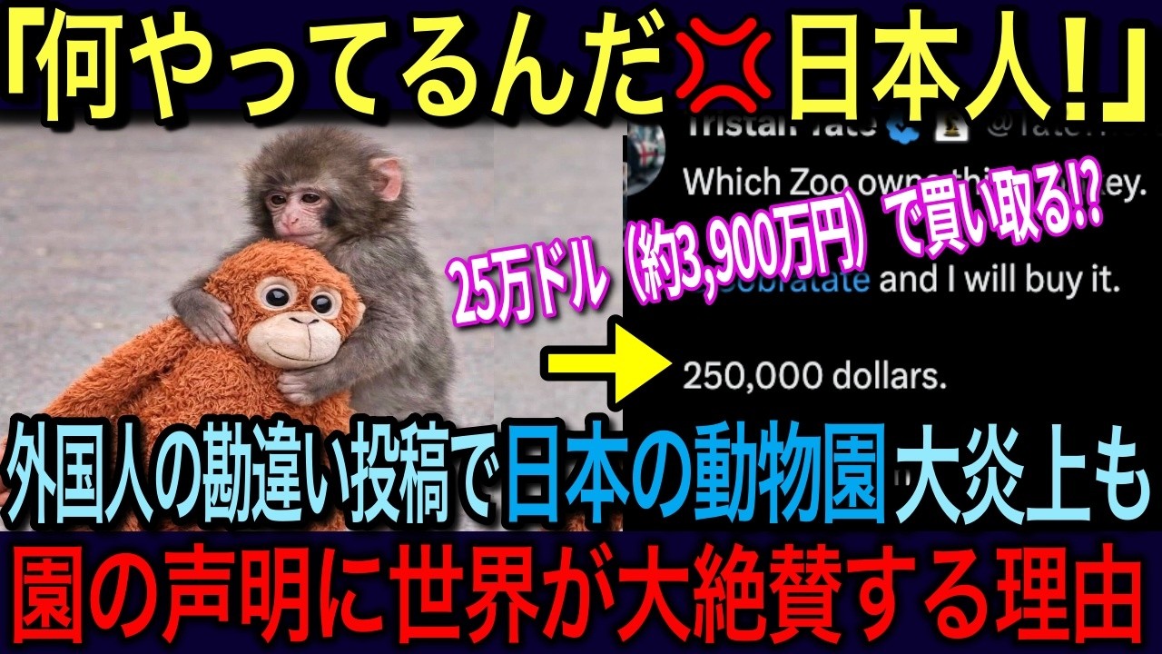 🇺🇸『日本は何をやってるんだ！？』🇯🇵ニホンザル”パンチ”全世界が注目の中、米国極右活動家の一言で大炎上も日本の声明で一瞬で論破！日本を絶賛した理由