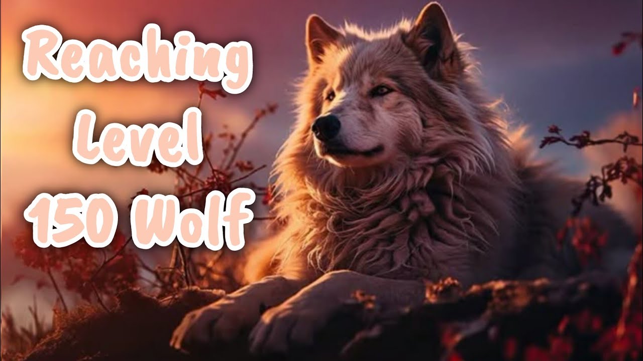 Reaching Level 150 Wolf | WildCraft