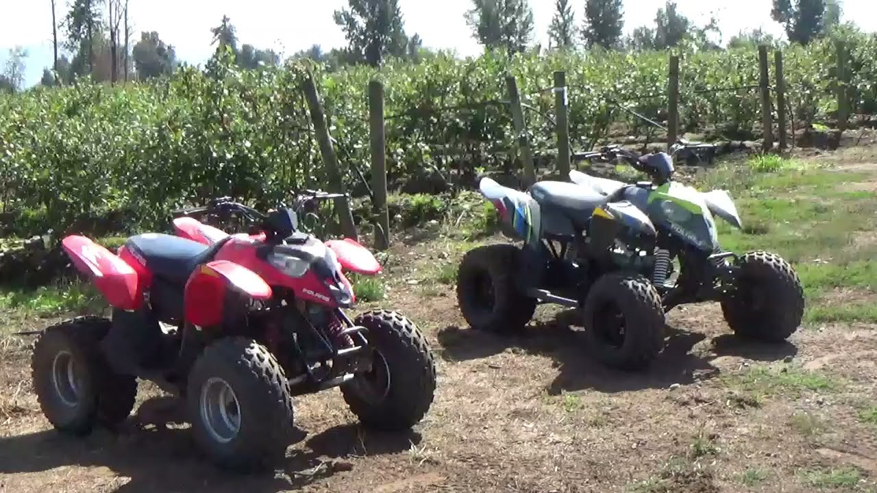 Which Kids ATV is for you?? 50cc, 90cc and 110cc Side by Side.