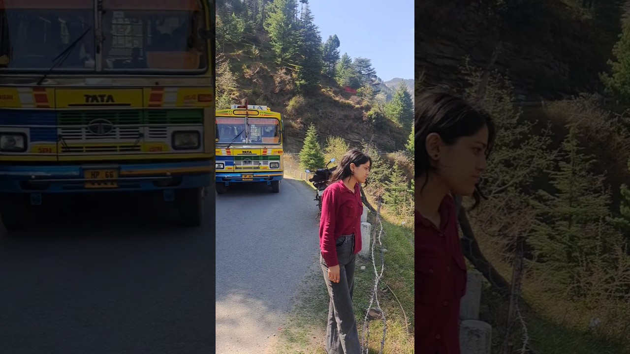 Lug valley Kullu....❣️#villagelife #himachal #nature