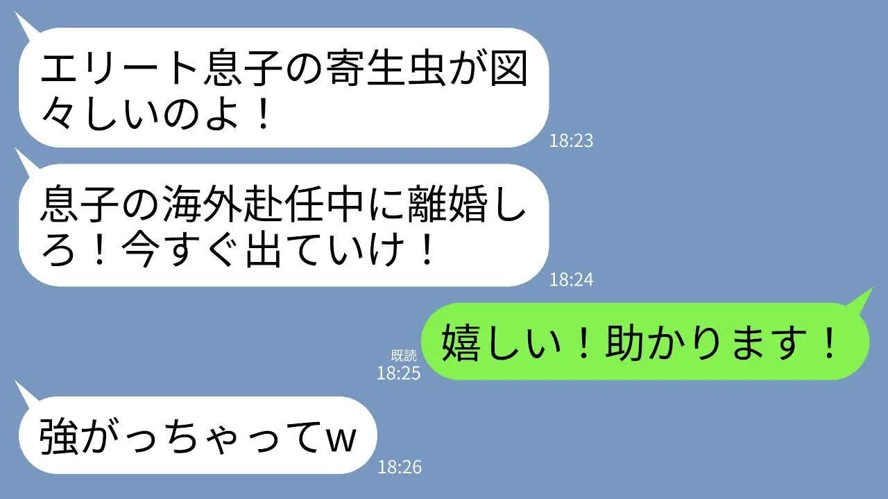 【LINE】夫が海外赴任に行くと同居中の義母から離婚宣告。義母「息子のいない間に出てけwエリート息子の寄生虫が」→私「ありがとうございます！」→大喜びで出ていった結果w