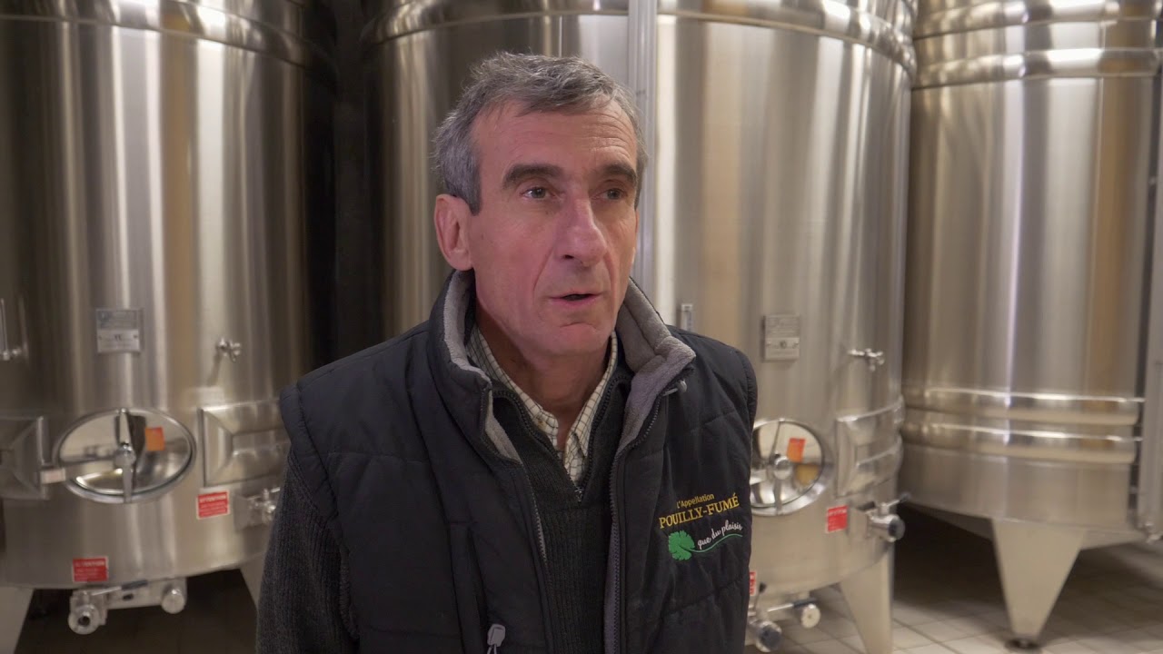 Agent de chai, caviste
