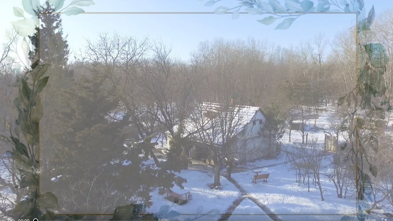 Live aus der Landhausküche🍀Unsere kleine Wald Farm in Ungarn🍀