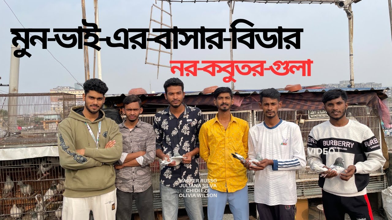 #মুন-ভাই-এর-বাসার-বিডার-নর-কবুতর-গুলা #pigeon #kabutarandekabdetehain 