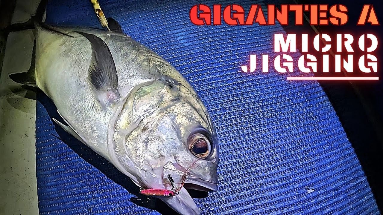 Pescamos el pez más deseado de Cabo Verde a microjigging.