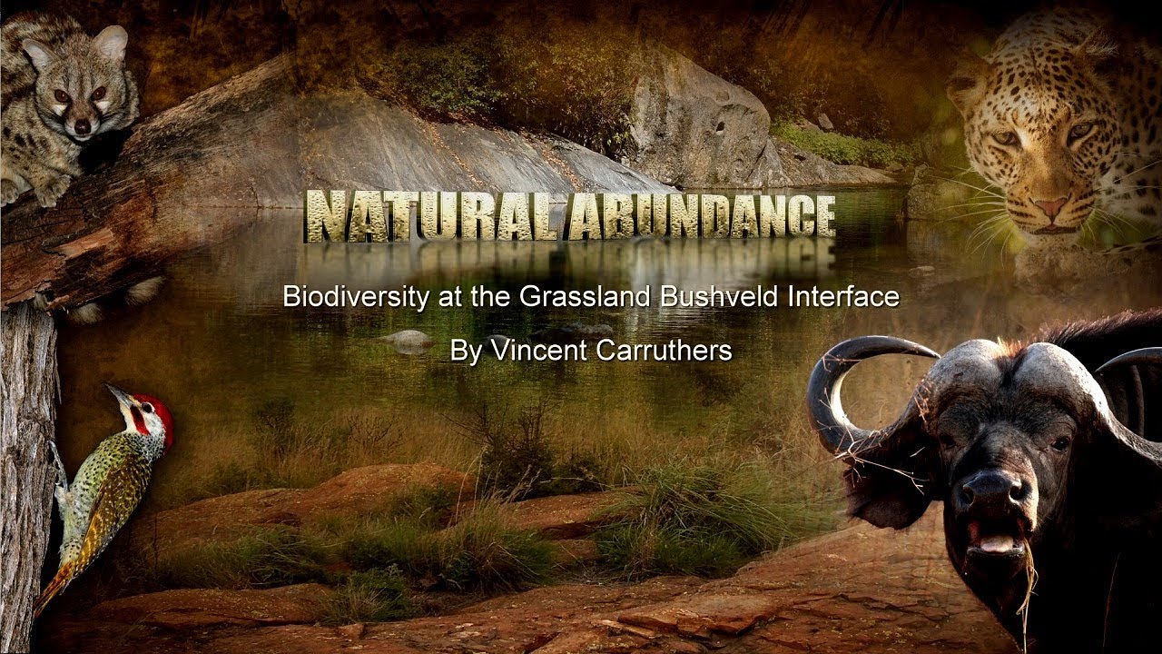 Natural Abundance -Part 4
