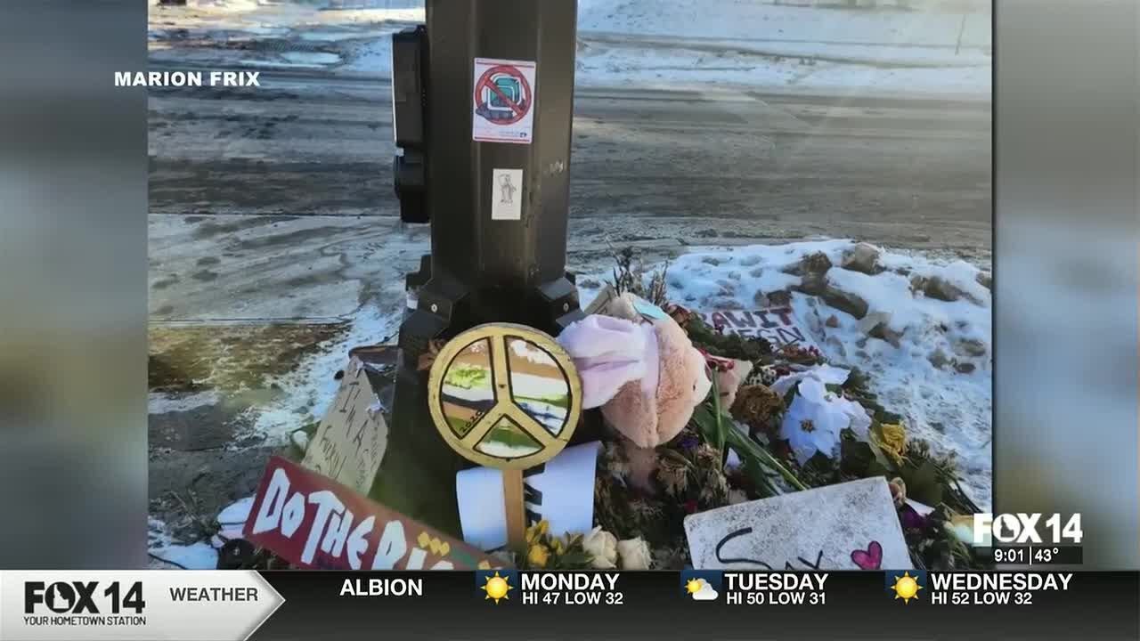 Local resident travels to anti-ICE Protest in Minneapolis