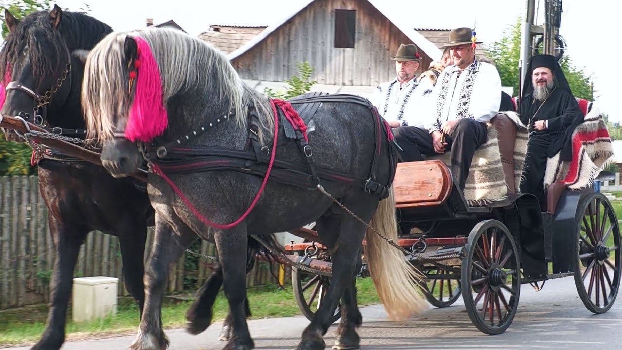 Cai în zii de sărbătoare Horodnic de Sus - Bucovina 9 Septembrie 2025