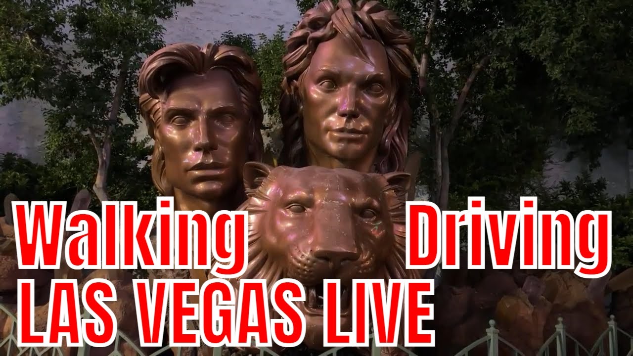 Las Vegas LIVE - Troll Wednesday - 11 Things on a Paper Plate - How to troll people on the LV Strip