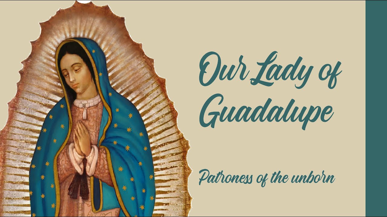 Song - Our Lady of Guadalupe with Lyrics / Catholic Hymn / Prayer for the unborn / Mother Mary