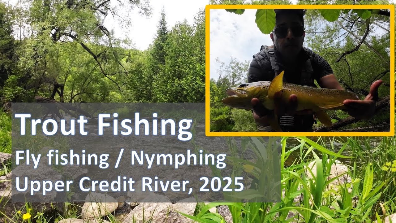 Trout Fishing in South Ontario 2025 - Fly Fishing / Nymphing the Upper Credit River