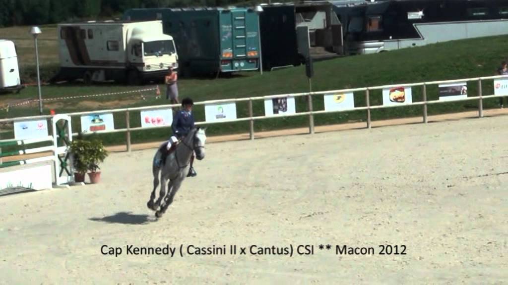 Cap Kennedy Stallion (Cassini II x Cantus)