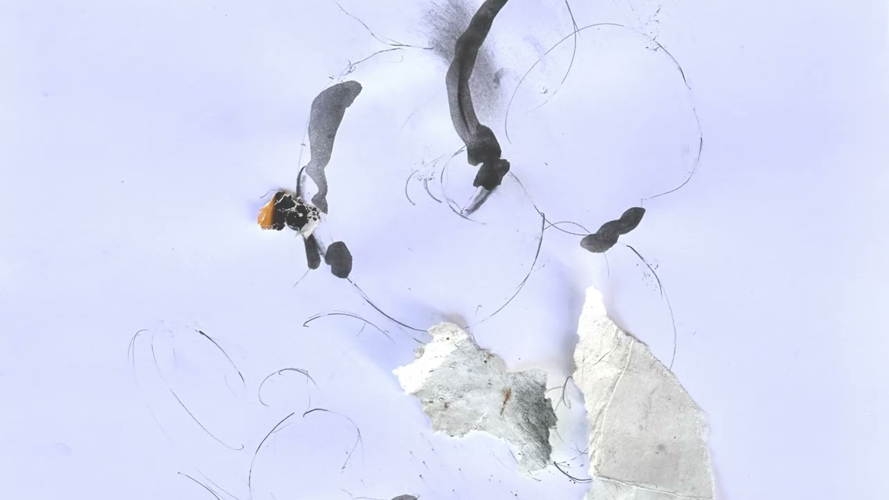 Eva-Maria Houben, interstices 21 (2025)