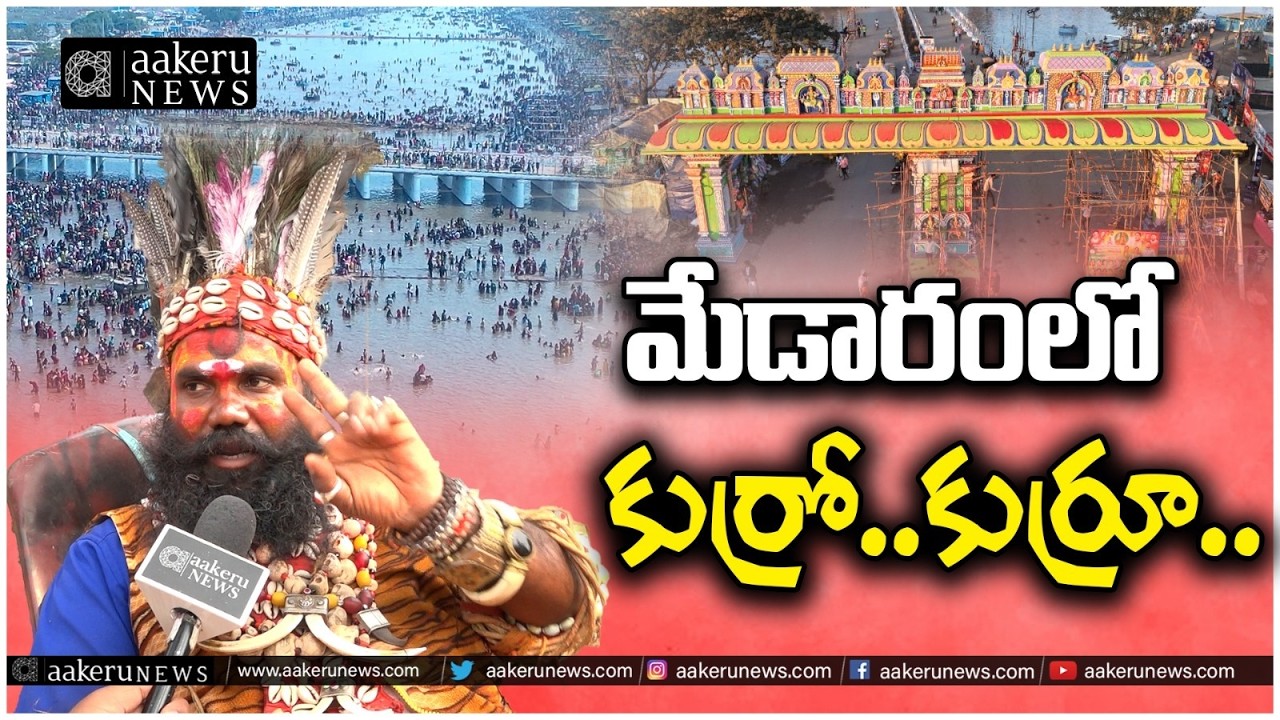 Koyadoralu In Medaram | Medaram Jatara 2026 | మేడారం లో  కుర్రో..కుర్రూ.. | 𝐚𝐚𝐤𝐞𝐫𝐮 𝐍𝐄𝐖𝐒 𝐓𝐞𝐥𝐮𝐠𝐮