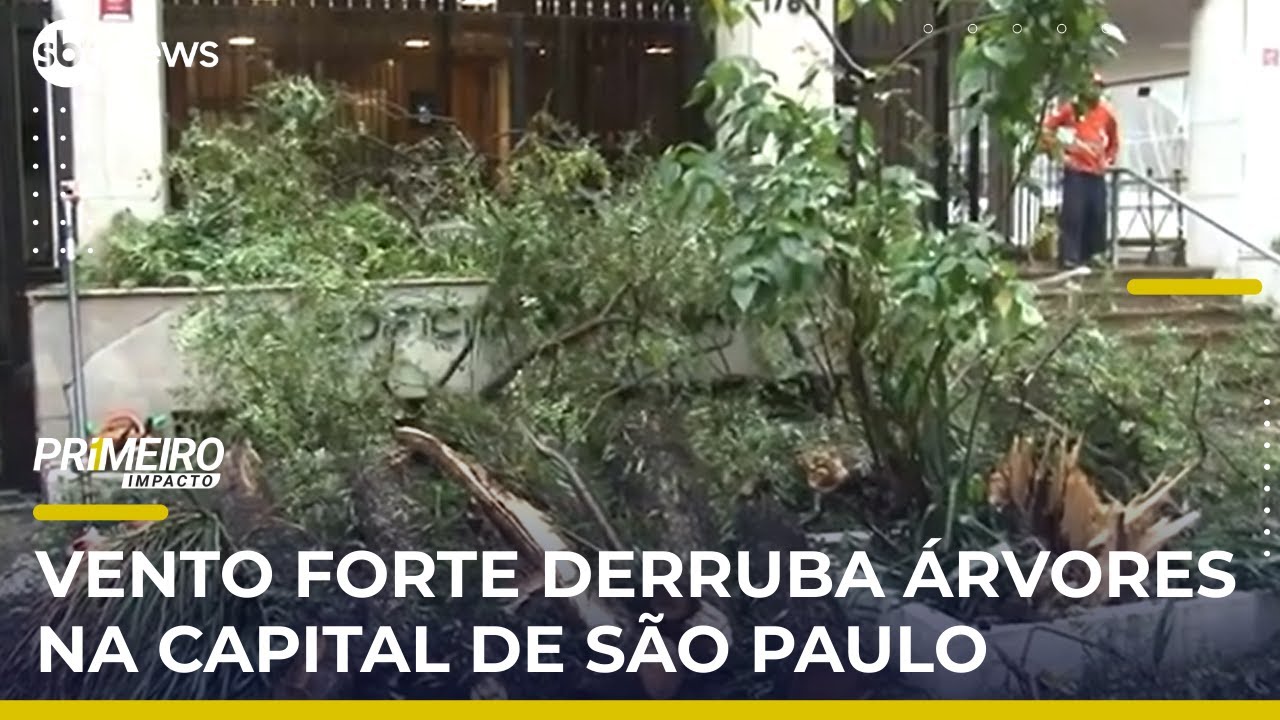 Temporal em SP: ventania derruba árvores e assusta moradores na capital | #PrimeiroImpacto