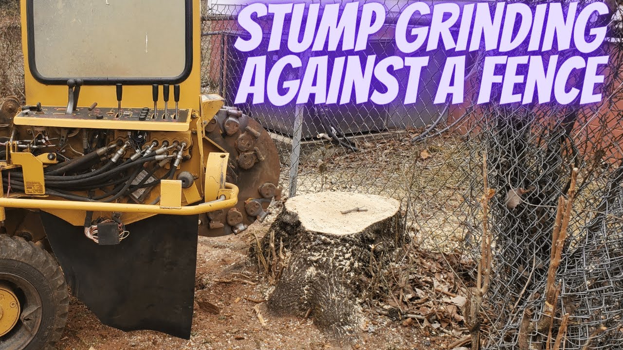 Stump Grinding Against a Fence