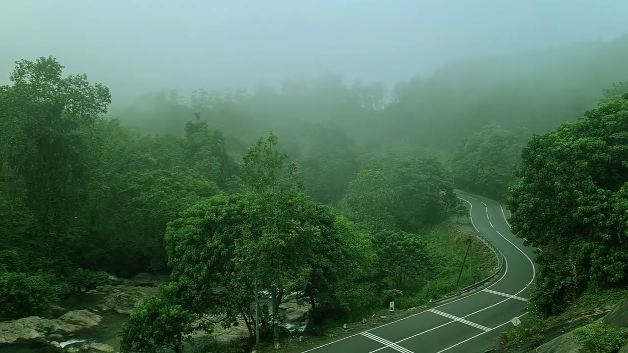 Sri Lanka Nature | Sri Lanka | Sri Lanka Natural Video