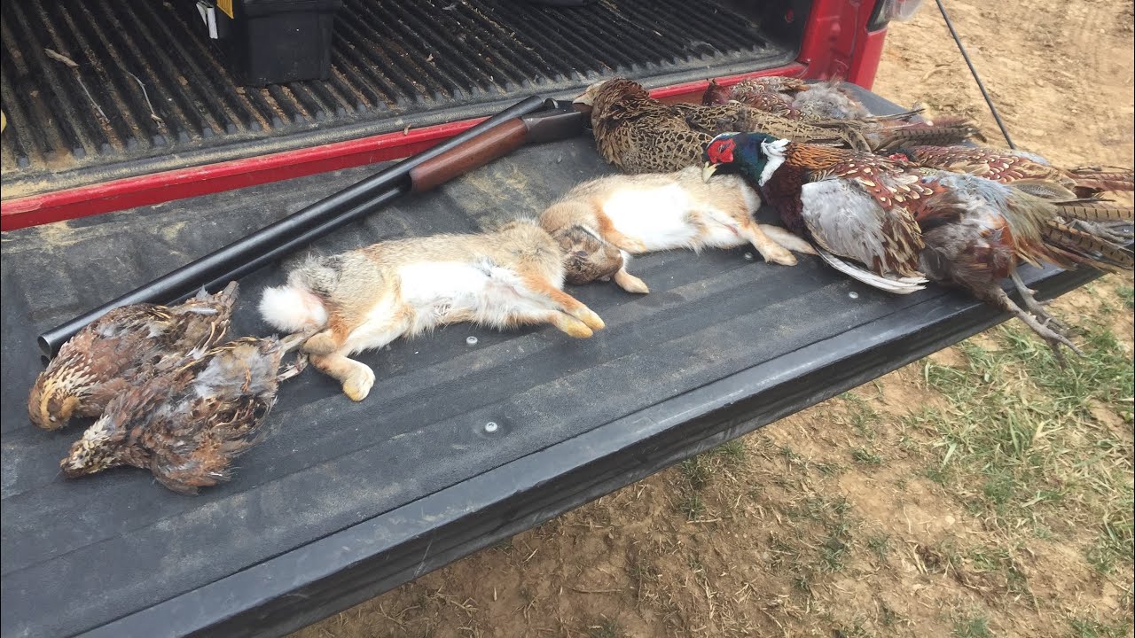 JC Higgins 101.7, Stevens 311 12 gauge side by side shotgun